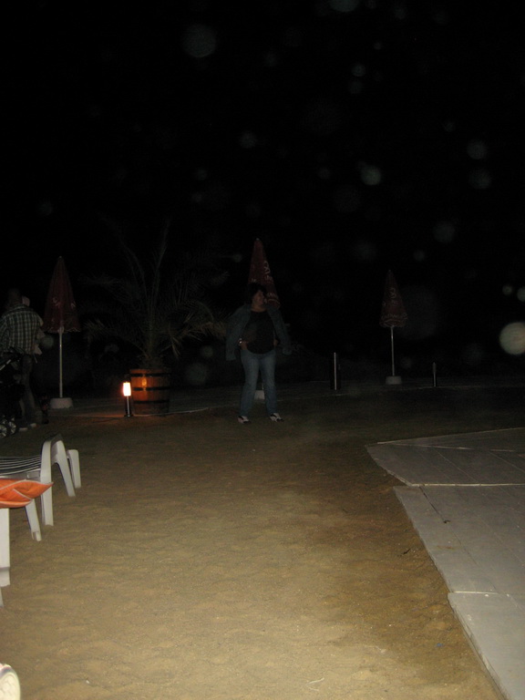 show 2011_13